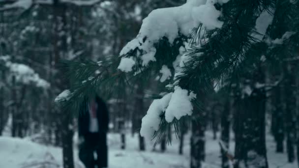 歩いてフード付き黒マントで中世の男 夜の黄昏の夕暮れ 冬の森のさすらいです 雪覆われた木の木 — ストック動画