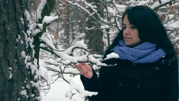 Mano Femenina Cerca Toca Ramas Árboles Cubiertas Nieve Retrato Hermosa — Vídeos de Stock