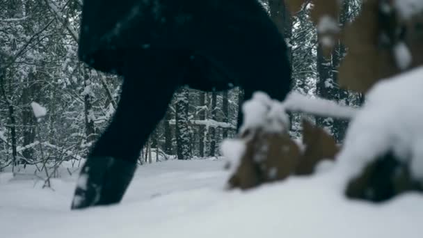 Lány Alig Járni Vastag Női Lépteit Nagy Téli Erdő Lassú — Stock videók