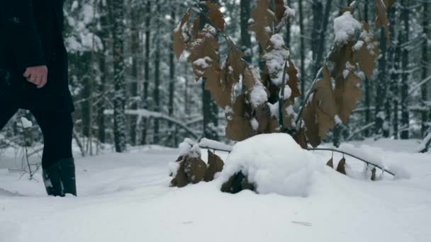 Dziewczyny Prawie Nie Mogłam Chodzić Śniegu Drewnie Kobiece Ślady Wysokim — Wideo stockowe