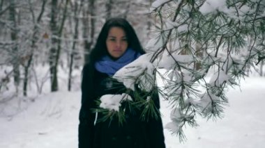 El karla kaplı çam ağacı dalları dokunur. Tatil kış ormanda yürüyüş yürüyüş kar yağışı sırasında tatil. Frost hava ahşap. Ağır çekim 60 fps