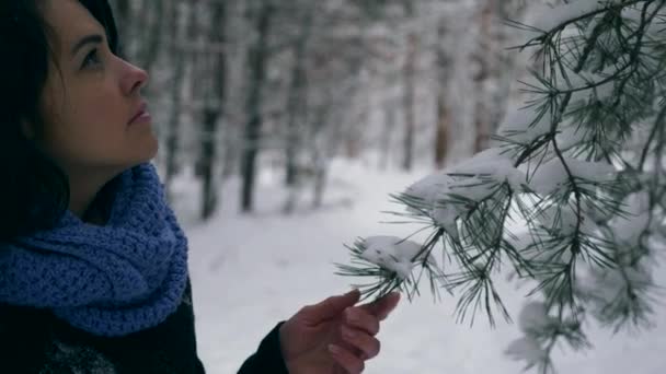 Mano Femenina Toca Ramas Pino Cubiertas Nieve Vacaciones Senderismo Senderismo — Vídeos de Stock