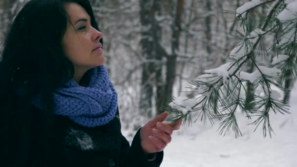 Mano Femenina Toca Ramas Pino Cubiertas Nieve Vacaciones Senderismo Senderismo — Vídeos de Stock