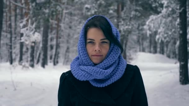 Serious Pretty Girl Walks Apreciando Natureza Floresta Inverno Durante Queda — Vídeo de Stock