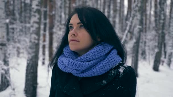 Серьезные Прогулки Красивой Девушки Наслаждаясь Природой Зимнем Лесу Время Снегопада — стоковое видео