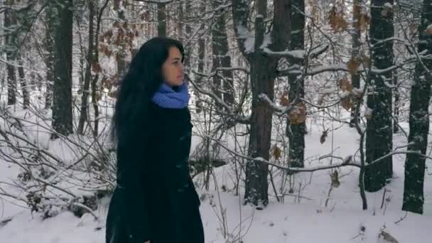 Serious Pretty Girl Walks Enjoying Nature Winter Forest Snowfall Inglés — Vídeo de stock