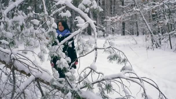 Allvarlig Söt Flicka Promenader Njuter Naturen Vinter Skog Snöfall Vandring — Stockvideo