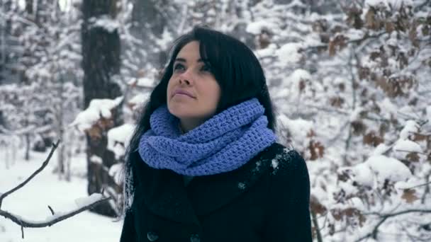 Serious Pretty Girl Walks Apreciando Natureza Floresta Inverno Durante Queda — Vídeo de Stock