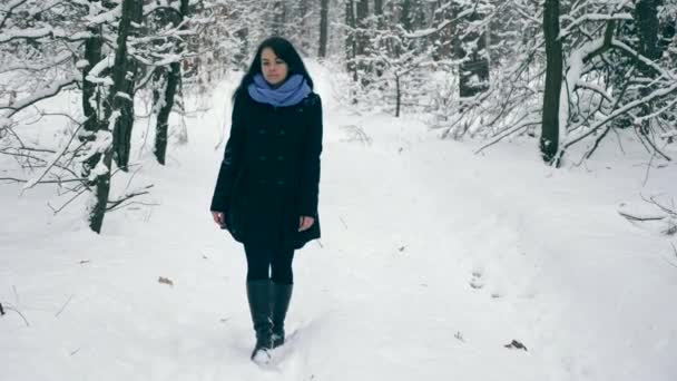 Allvarlig Söt Flicka Promenader Njuter Naturen Vinter Skog Snöfall Vandring — Stockvideo