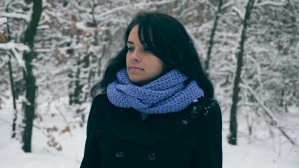 Serious Pretty Girl Walks Enjoying Nature Winter Forest Snowfall Inglés — Vídeos de Stock