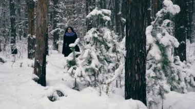Ciddi güzel kız kış ormanda kar yağışı sırasında zevk doğa yürüyüşleri. Kış tatillerinde seyahat hiking. Frost hava kar ağaçlar ahşap kaplı. Ağır çekim 60 fps