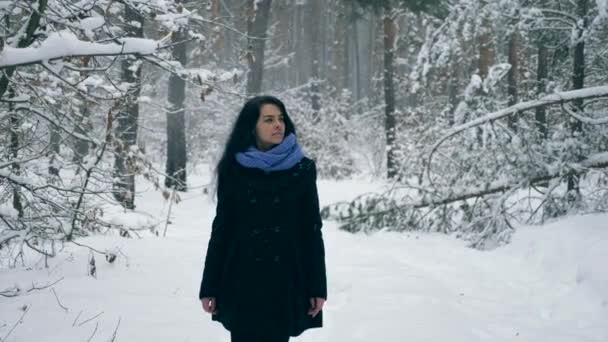 Красива Дівчина Йде Під Час Снігопад Blizzard Циклон Снігу Зимовий — стокове відео