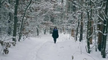 Güzel kız kış ormanda kar yağışı Blizzard kar kasırga sırasında yürüyüş. Frost hava kar ağaçlar ahşap kaplı. Ağır çekim