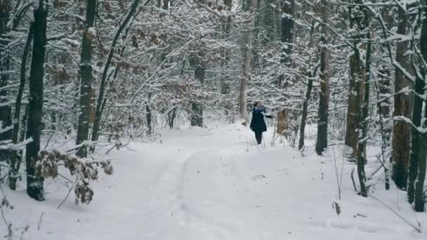 Mooi Meisje Lopen Tijdens Sneeuwval Blizzard Sneeuw Cycloon Winter Forest — Stockvideo