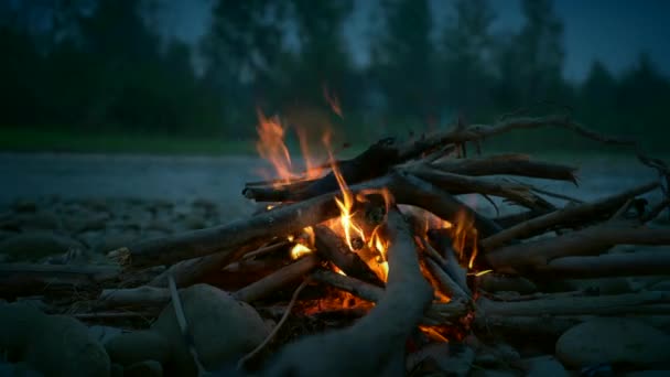 Close Lagerfeuer Der Nähe Des Gebirgsflusses Felsigen Ufer Wandern Bergwaldpark — Stockvideo