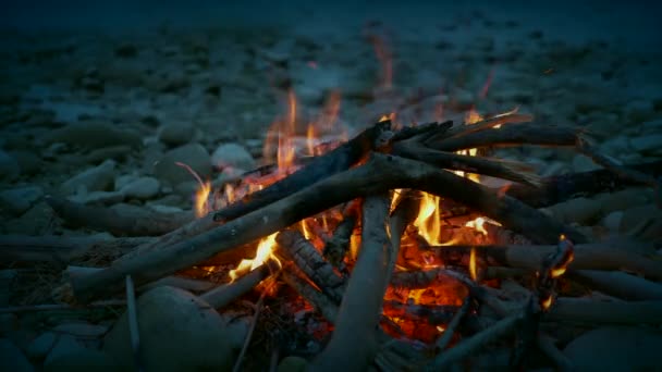 Close Lagerfeuer Der Nähe Des Gebirgsflusses Felsigen Ufer Wandern Bergwaldpark — Stockvideo