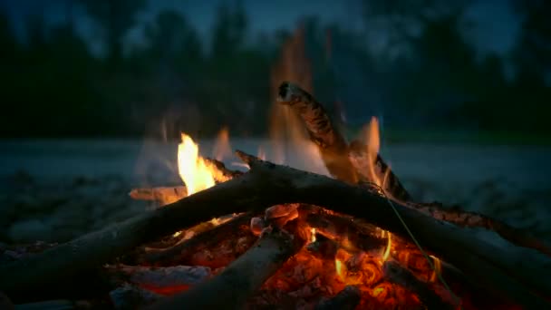 Close Campfire Mountain River Rocky Shore Senderismo Mountain Forest Park — Vídeo de stock