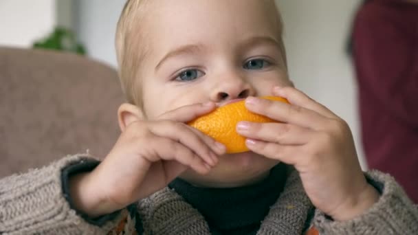 のかわいい小さな男の子は台所でおいしいオレンジを食べる 背景の親 忙しい母の朝食夕食 — ストック動画