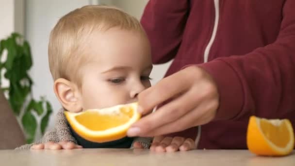 のかわいい小さな男の子は台所でおいしいオレンジを食べる 背景の親 忙しい母の朝食夕食 — ストック動画