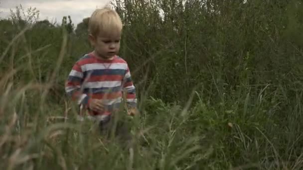 Потерянный Ребёнок Плачет Бегает Среди Травы Кустов Поле Маленький Мальчик — стоковое видео