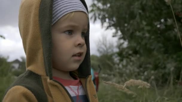 Poważne Dziecko Stoi Polu Oglądanie Myślenia Mały Chłopiec Terenach Wiejskich — Wideo stockowe