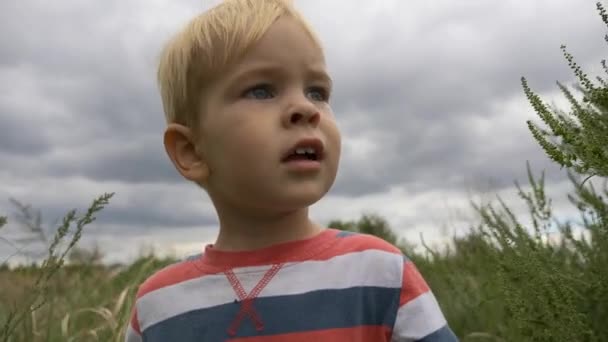 Serious Cute Child Points Finger Cloudy Sky Little Boy Rural — Stock Video