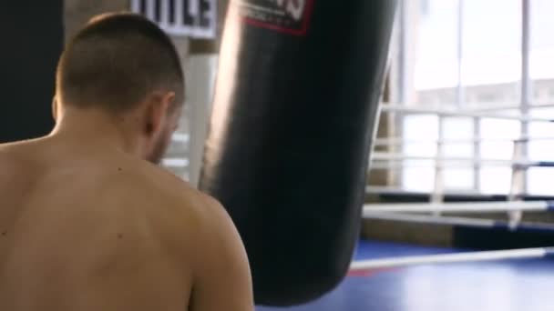 スローモーション戻るビュー筋肉プロフェッショナル ボクサー安打パンチ バッグ ジムで白人男性トレーニング トレーニング — ストック動画
