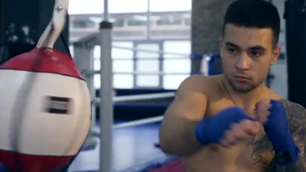 慢动作特写年轻拳击手打双端拳击速度球 冲床袋 白种人在健身房训练锻炼 — 图库视频影像
