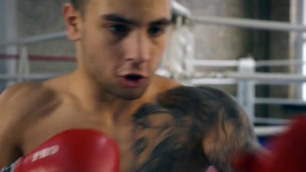 Close Câmera Lenta Muscular Professional Boxer Hits Punch Bag Homem — Vídeo de Stock