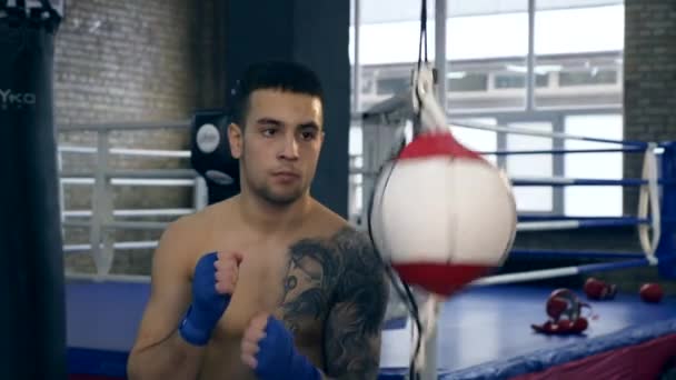 Lassú Mozgás Közelről Young Boxer Hits Dupla Végén Boksz Speed — Stock videók