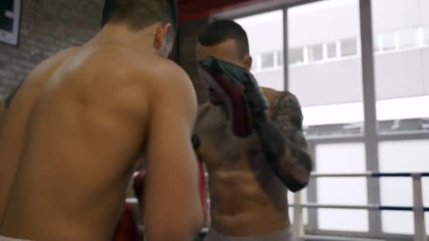 Zeitlupe Großaufnahme Zweier Boxer Die Schläge Üben Training Boxring Mit — Stockvideo