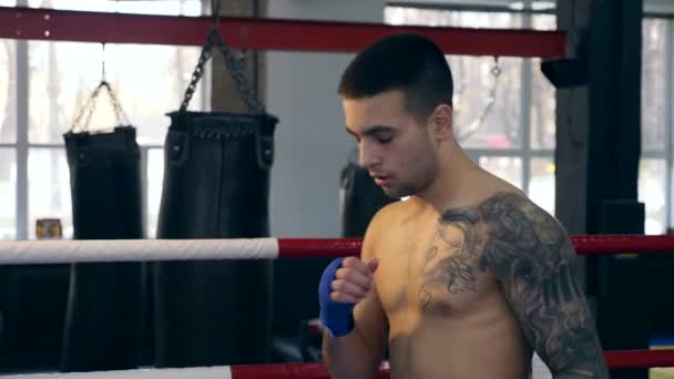 Lento Movimento Close Retrato Jovem Boxeador Lutador Aquece Antes Lutar — Vídeo de Stock