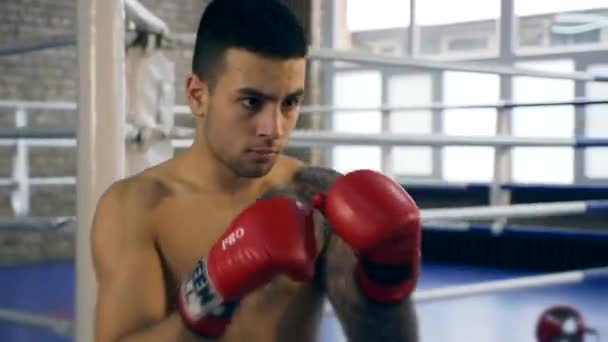 60P Muscular Professional Boxer Hits Punch Bag Caucasian Man Training — Stock Video