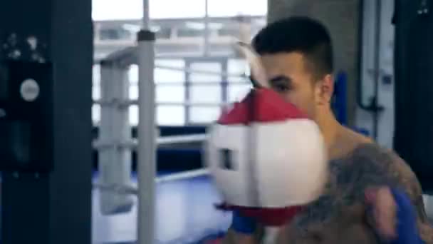 60P Close Young Boxer Hits Punch Bag Caucasian Man Training — Stock Video