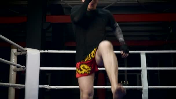 Muay Thai Kämpfer Zeitlupe Bläst Mit Dem Fuß Schnelle Kräftige — Stockvideo