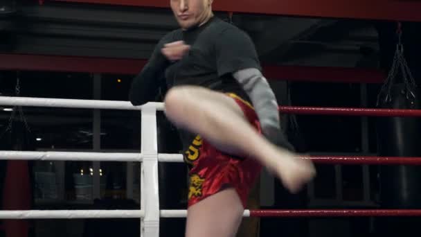 慢动作泰拳用脚吹得快有力的大拇指 在健身房拳击环的训练踢 — 图库视频影像