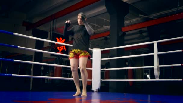 Muay Thai Boxer Training Punches Kicks Boxing Ring Inglês Urban — Vídeo de Stock