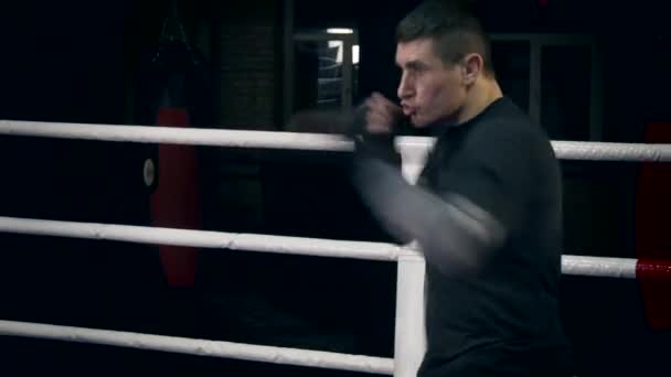 ムエタイ ボクシング トレーニング パンチし キック ボクシングの都市のジムでリング 影の戦い パンチ バッグ暗い背景 — ストック動画