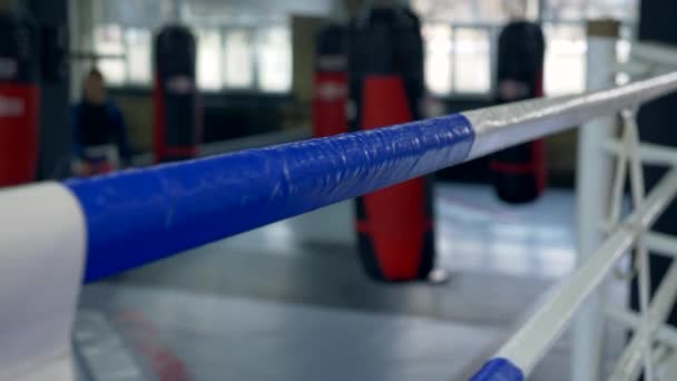 背景ボクシング リング ロープのジムでぼやけたパンチ バッグ — ストック動画