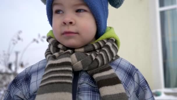 Close Portrait Cute Little Child Backyard Winter Sunny Snowy Day — Stock Video