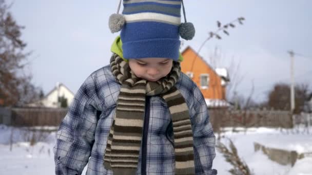 Милый Маленький Ребенок Теплой Одежде Гуляет Снегу Заднем Дворе Солнечный — стоковое видео