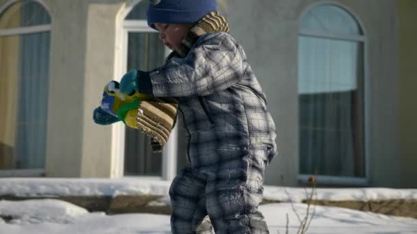 Little Boy Plays Toy Trucks Snow Backyard Garden Cold Weather — Stock Video