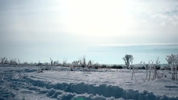 相机在雪覆盖平原上移动 寒冷多云的晴天 被冰和雪覆盖的植物 — 图库视频影像