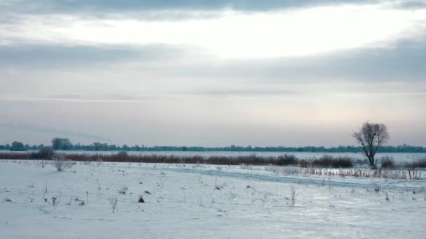 Panorama Avonds Winterlandschap Verhuizen Langs Landelijke Weg Plains Bewolkte Hemel — Stockvideo