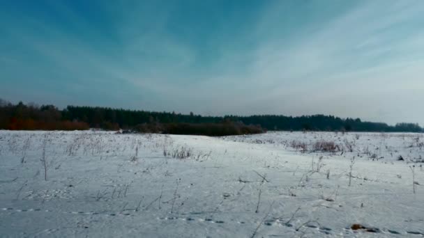 Caméra Déplaçant Travers Les Plaines Gelées Couvertes Neige Journée Hiver — Video