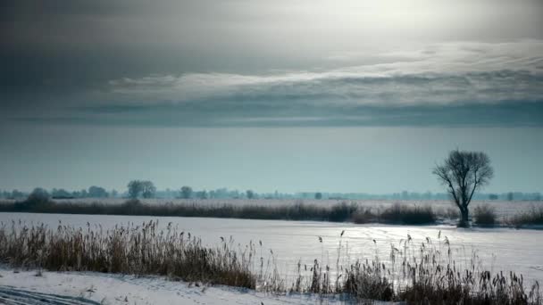 Panorama Bevroren Rivier Sneeuw Bedekt Veld Plains Koude Zonnige Bewolkte — Stockvideo