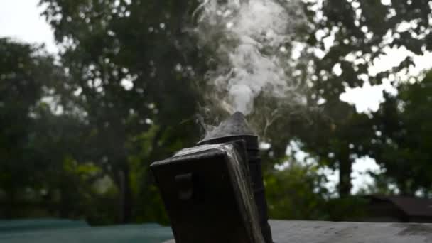 Rökare Står Honey Bee Hive Rökning Med Biodlingsverktyg Slow Motion — Stockvideo