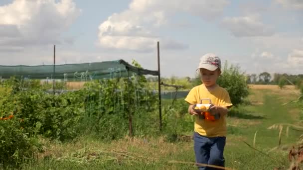 Niño Trae Albaricoques Recién Recogidos Jardín Trasero — Vídeo de stock