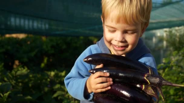 Child Holds Hands Aubergine Eggplant Backyard Garden Slow Motion 60Fps — Stock Video