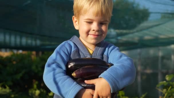 Child Holds Hands Aubergine Eggplant Backyard Garden Slow Motion 60Fps — Stock Video